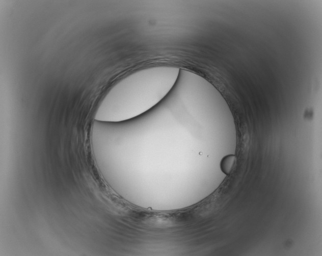 X0000115480498200911061028