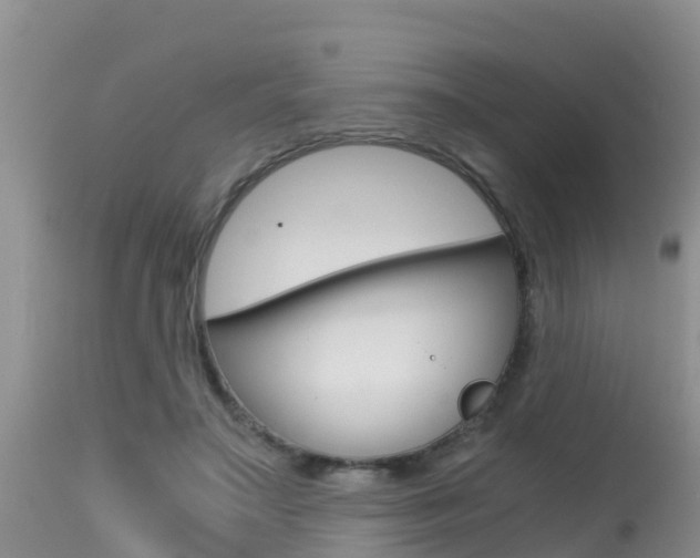 X0000115480499200911061028