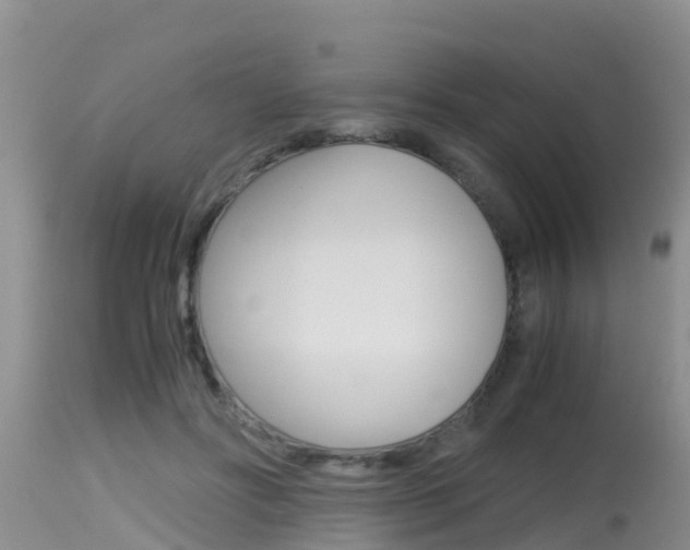 X0000115480502200911061028