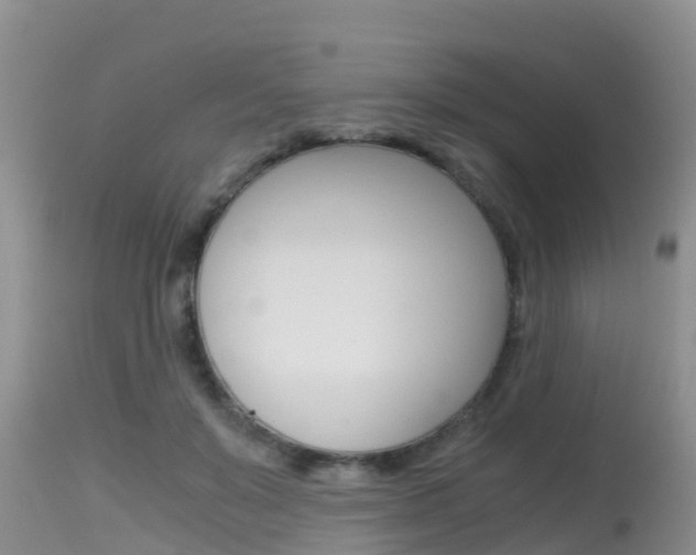 X0000115480503200911061028