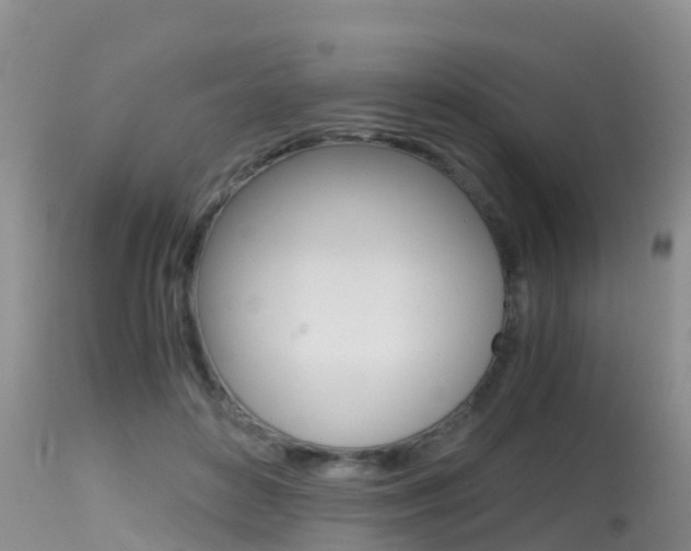 X0000115480504200911061028