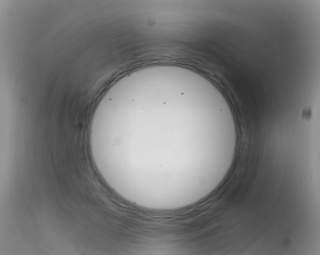 X0000115480505200911061028