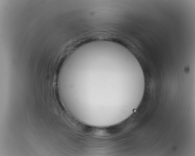 X0000115480507200911061028