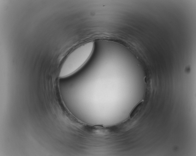 X0000115480508200911061028