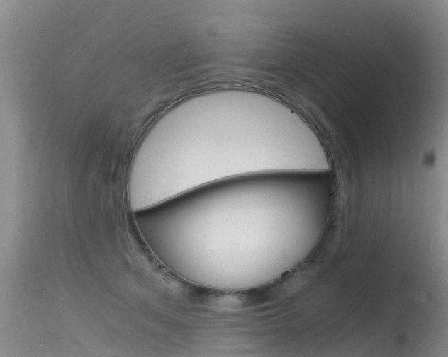 X0000115480513200911061028