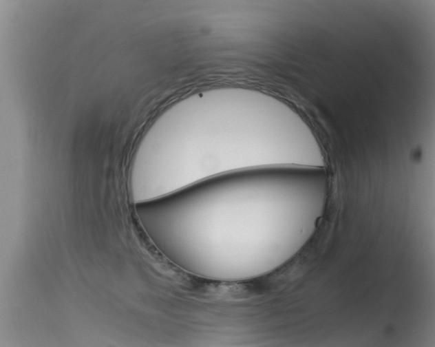 X0000115480517200911061028