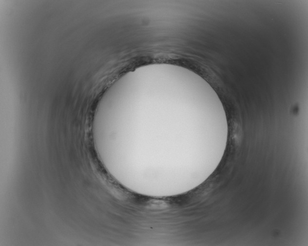 X0000115480519200911061028
