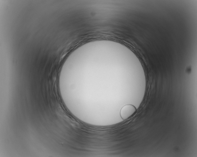 X0000115480520200911061028