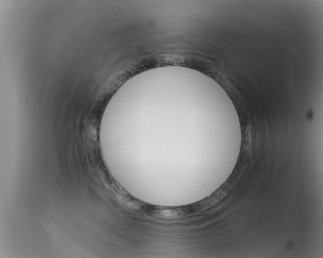 X0000115480522200911061027