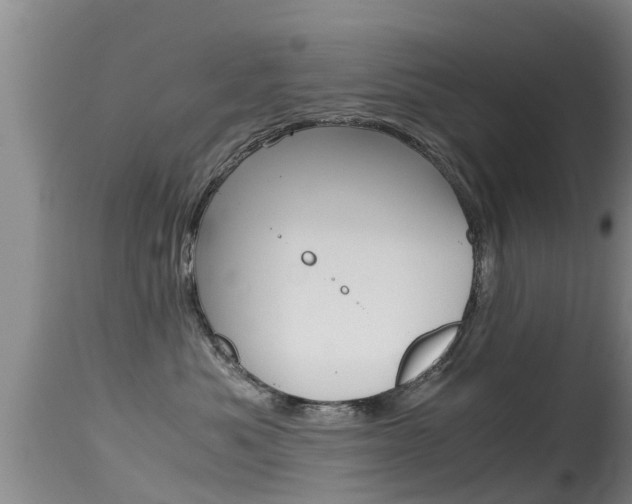 X0000115480525200911061027
