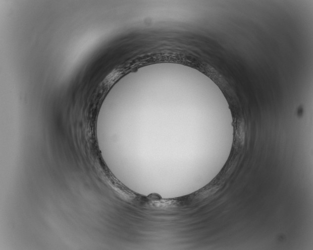X0000115480526200911061027
