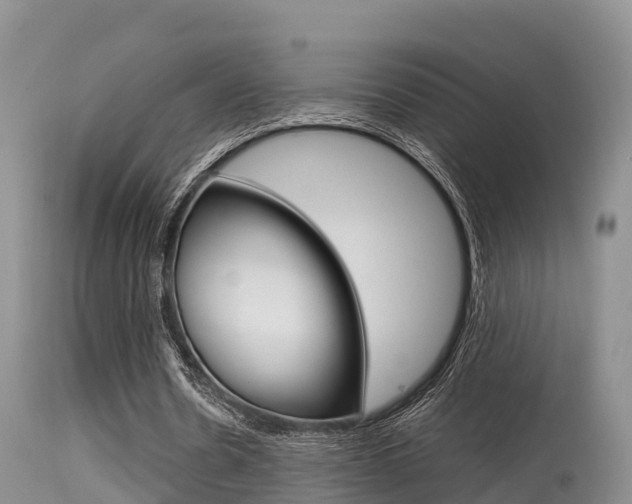X0000115480530200911061027
