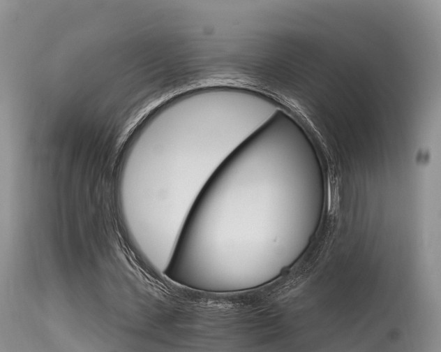 X0000115480531200911061027