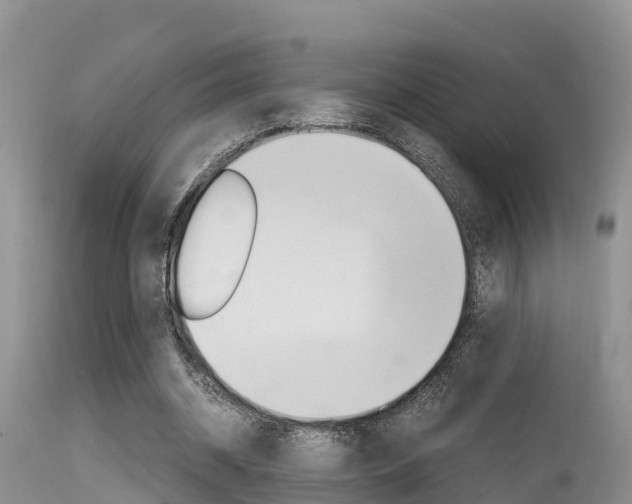 X0000115480534200911061027