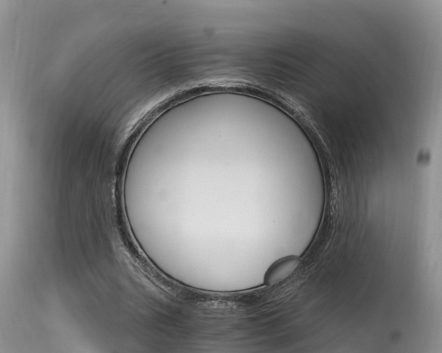 X0000115480535200911061027