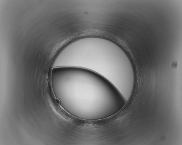 X0000115480538200911061027