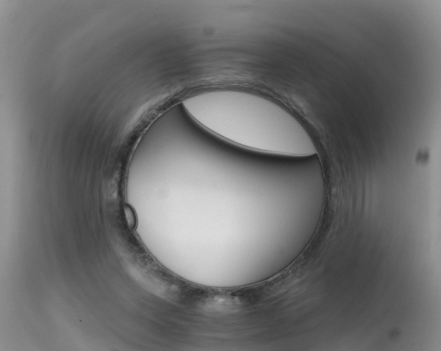 X0000115480543200911061027