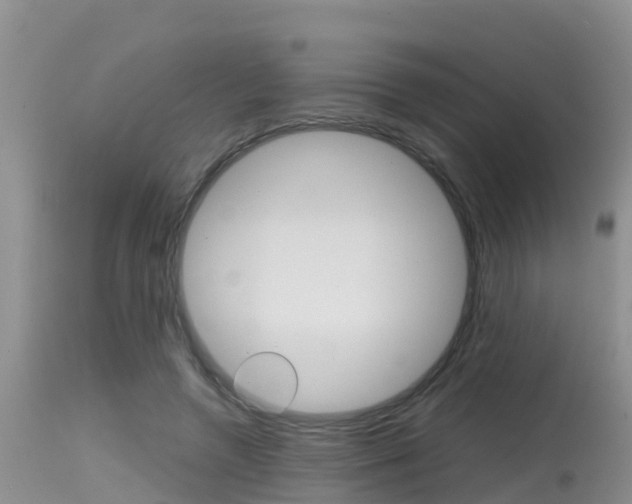 X0000115480546200911061027