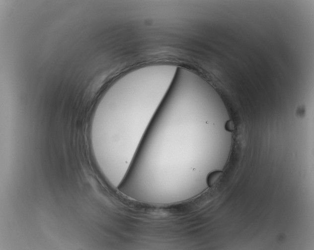 X0000115480547200911061027