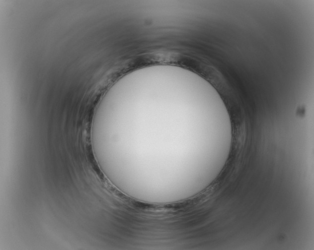 X0000115480553200911061027