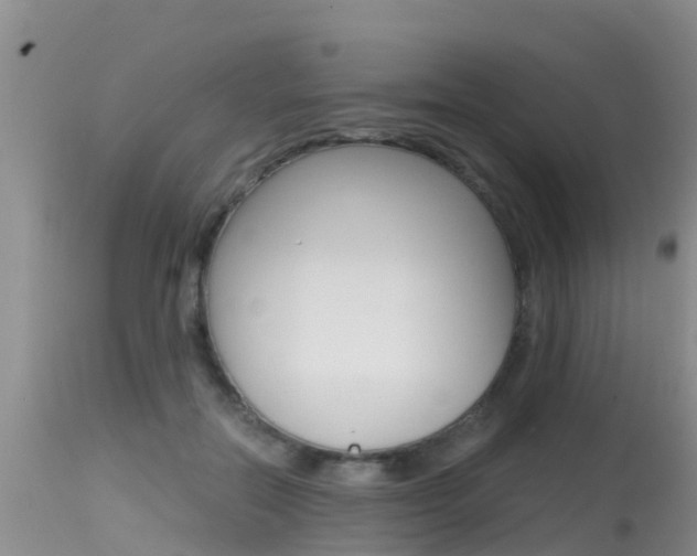 X0000115480554200911061027