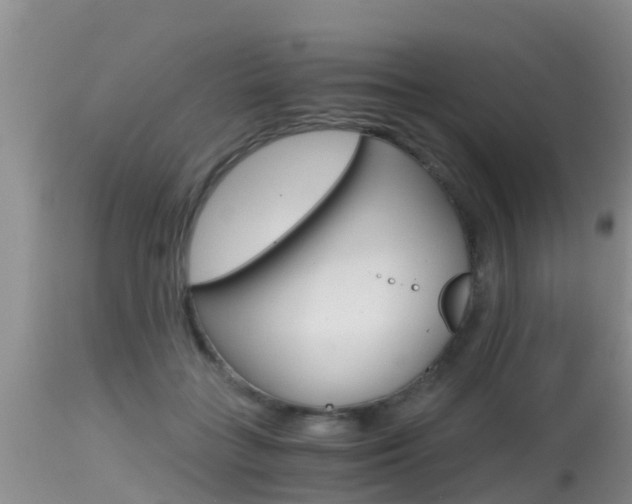 X0000115480555200911061027
