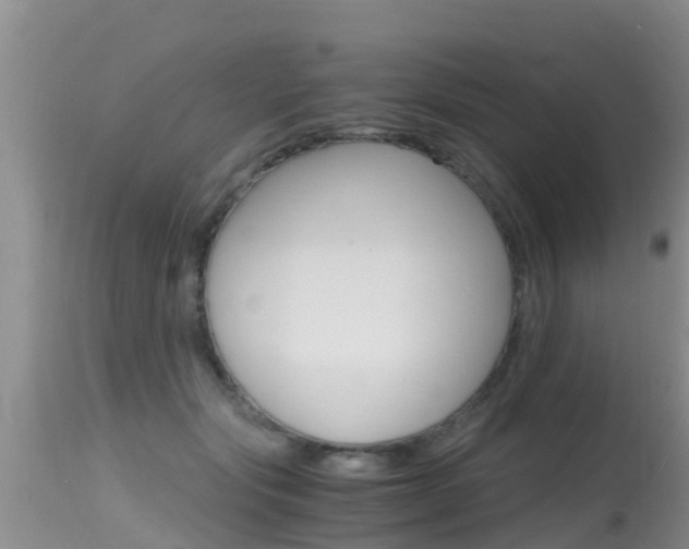 X0000115480557200911061027
