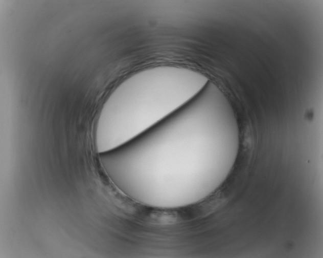 X0000115480559200911061027
