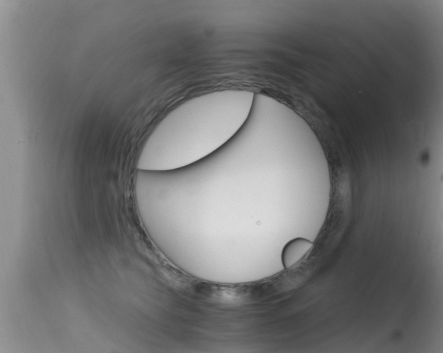 X0000115480565200911061027