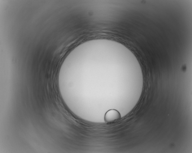 X0000115480566200911061027