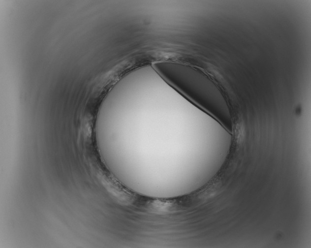 X0000115480570200911061027