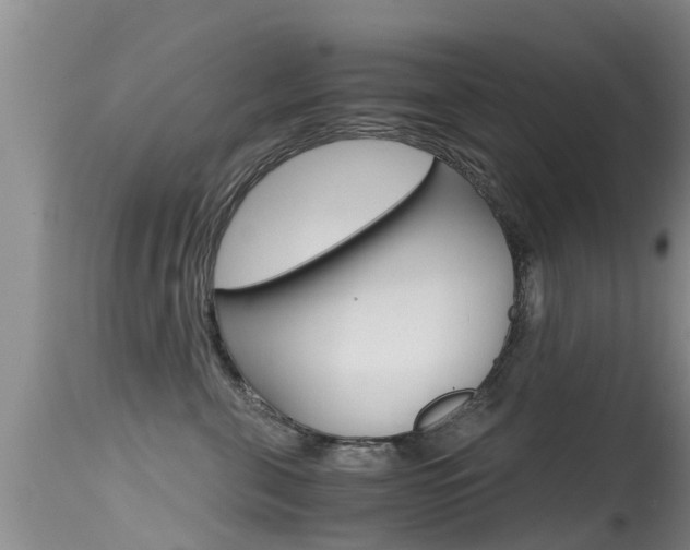 X0000115480571200911061027