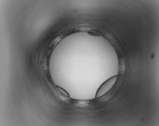 X0000115480573200911061027