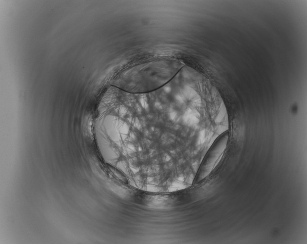 X0000115480575200911061027