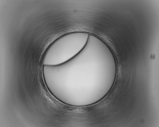 X0000115480578200911061027