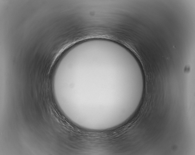 X0000115480579200911061027