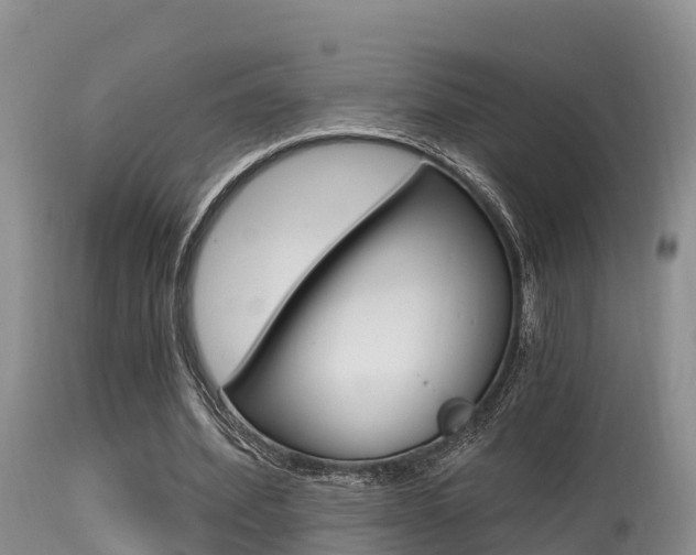 X0000115480580200911061027