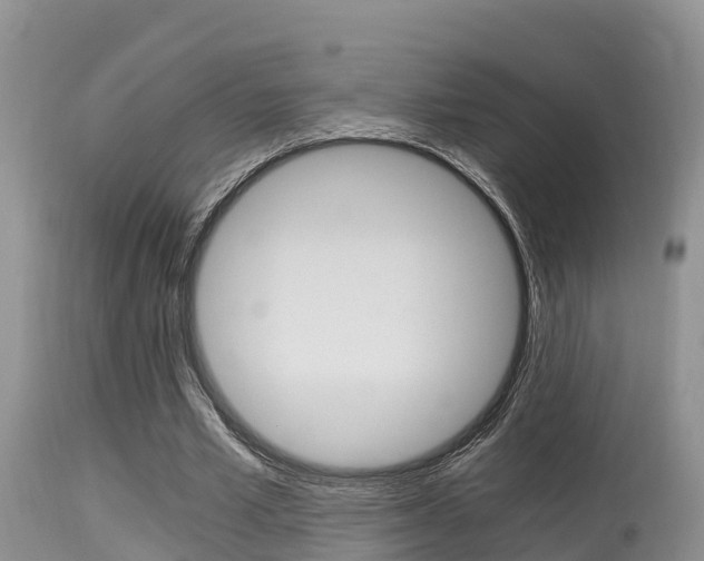 X0000115480581200911061027