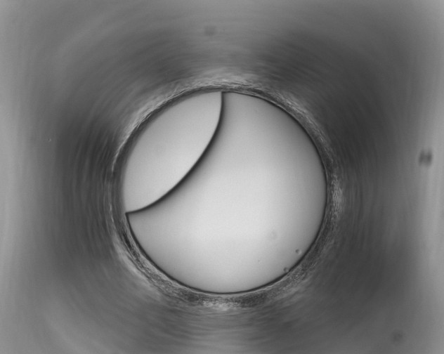 X0000115480582200911061027