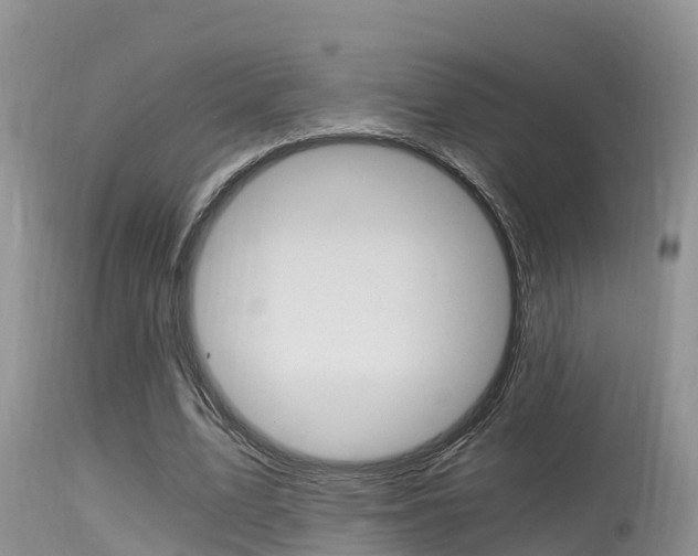 X0000115480583200911061027