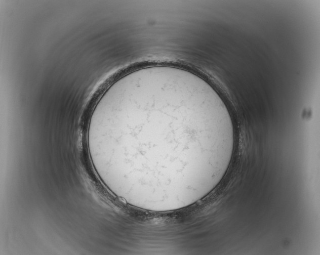 X0000115480584200911061027