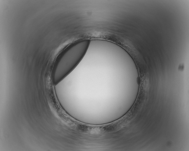 X0000115480587200911061027