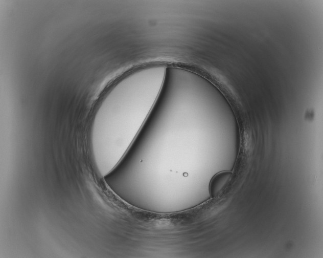 X0000115480588200911061027