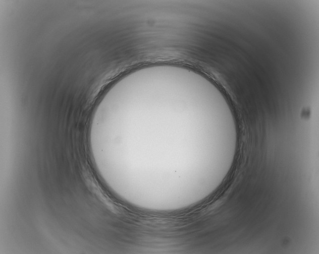 X0000115480589200911061027