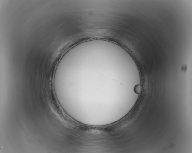 X0000115480590200911061027