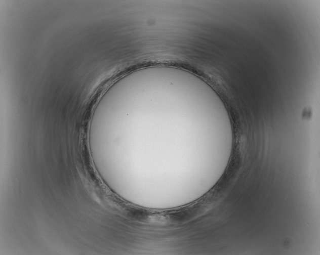 X0000115480591200911061027