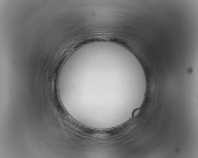 X0000115480595200911061026