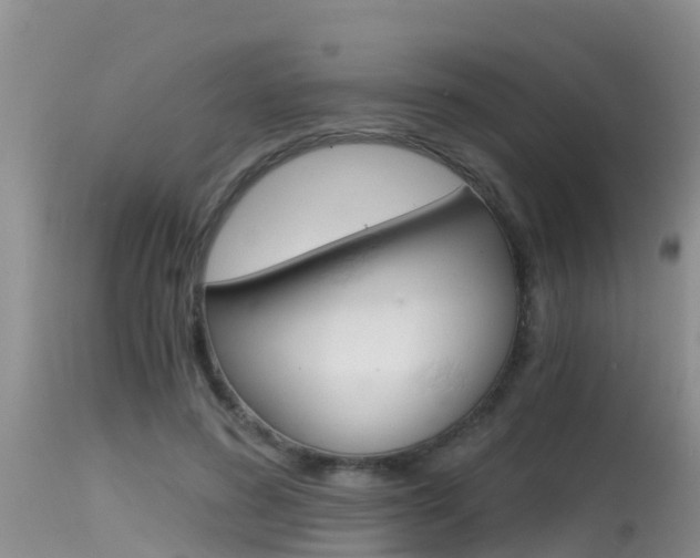 X0000115480596200911061026