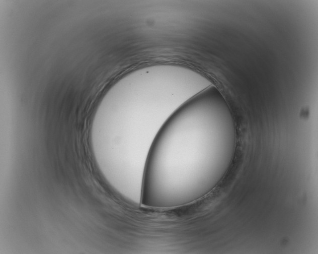 X0000115480597200911061026