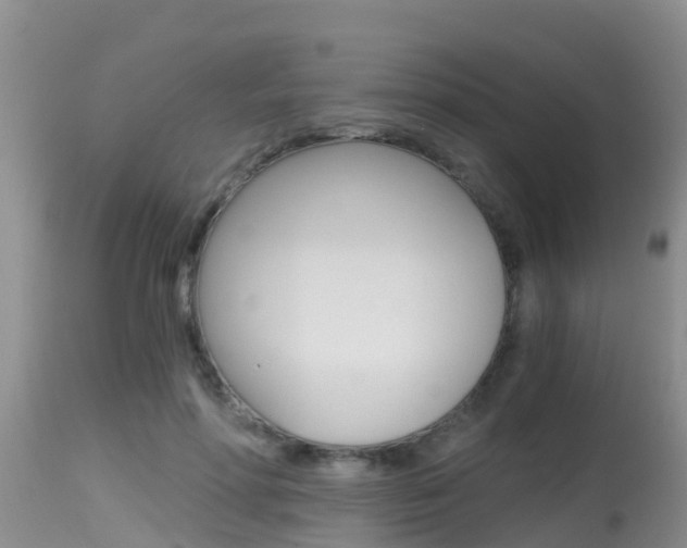 X0000115480598200911061026